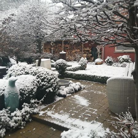 Adamas B&B Dendermonde Εξωτερικό φωτογραφία