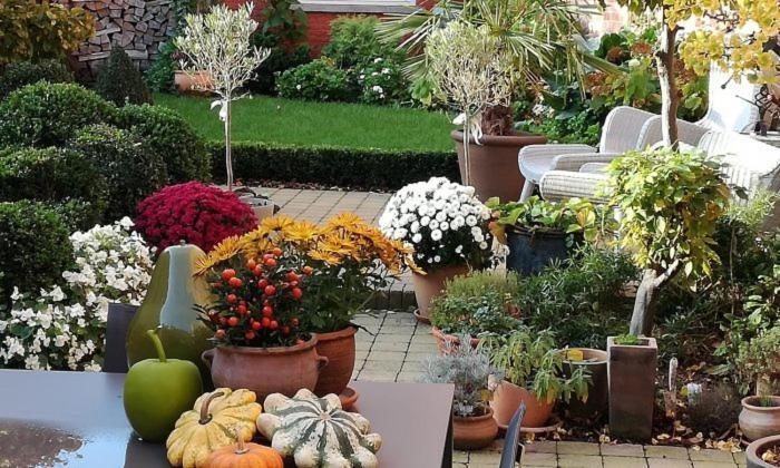 Adamas B&B Dendermonde Εξωτερικό φωτογραφία